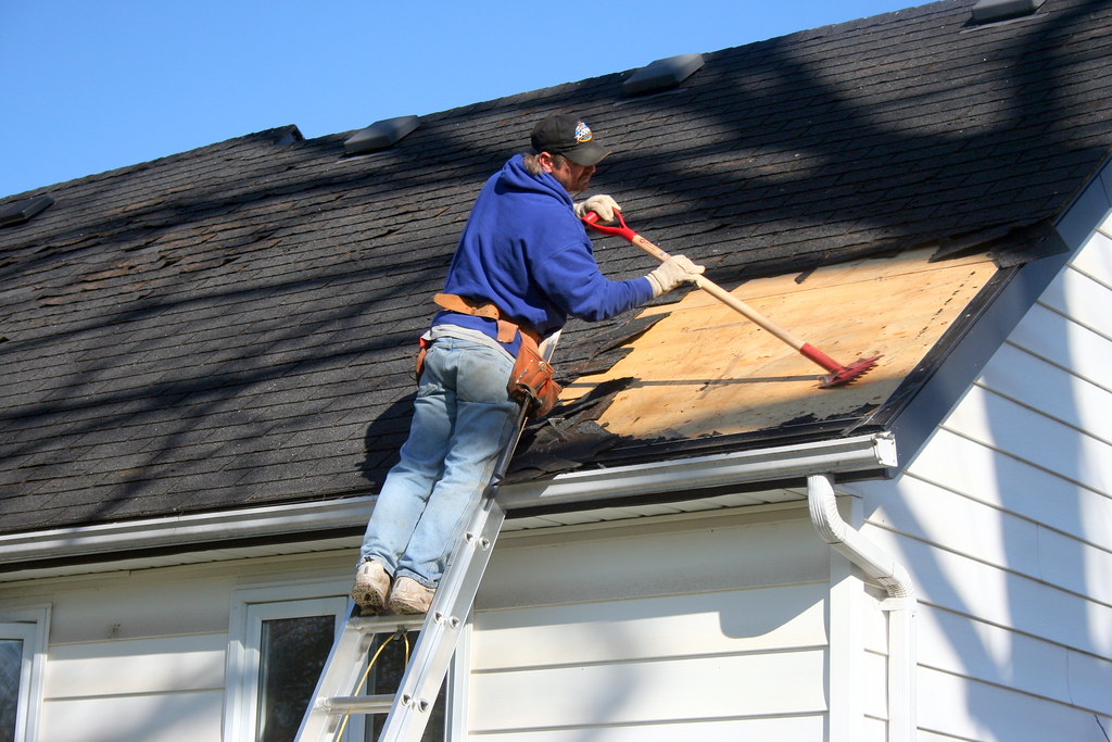 Best roofing estimating software — roofer removing old asphalt shingles during roof replacement estimate